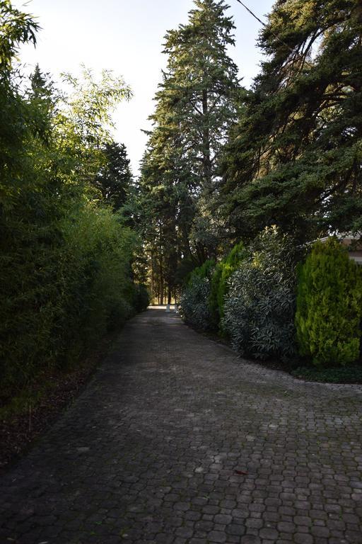Hotel Il Boschetto Tolentino Exterior photo